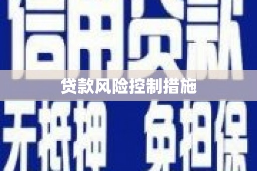 成县贷款风险控制措施