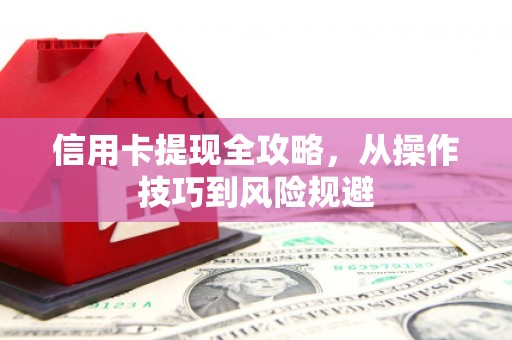 金阳信用卡提现全攻略，从操作技巧到风险规避
