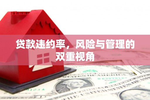 丰顺贷款违约率，风险与管理的双重视角