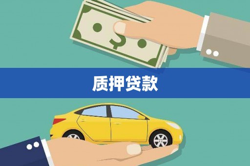顺平质押贷款