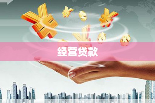 双清经营贷款
