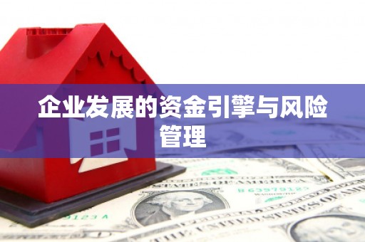 曾都企业发展的资金引擎与风险管理