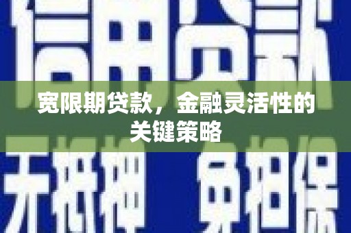 镇平宽限期贷款，金融灵活性的关键策略