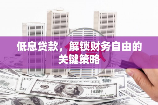 阿巴嘎旗低息贷款，解锁财务自由的关键策略