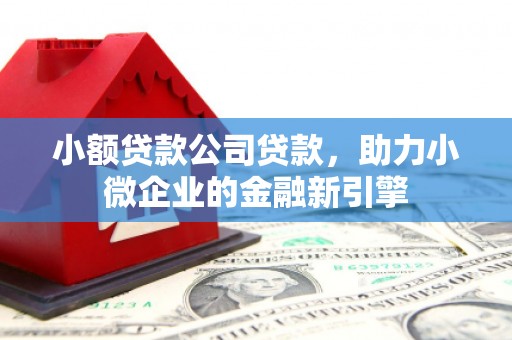 垣曲小额贷款公司贷款，助力小微企业的金融新引擎