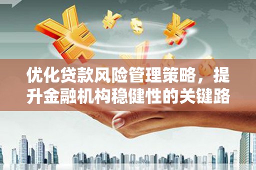 分宜优化贷款风险管理策略，提升金融机构稳健性的关键路径