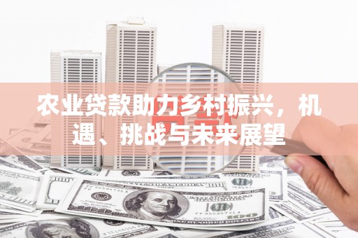泌阳农业贷款助力乡村振兴，机遇、挑战与未来展望