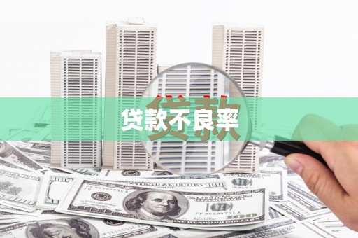 凤阳贷款不良率