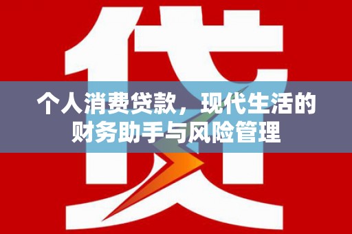 东乡族个人消费贷款，现代生活的财务助手与风险管理