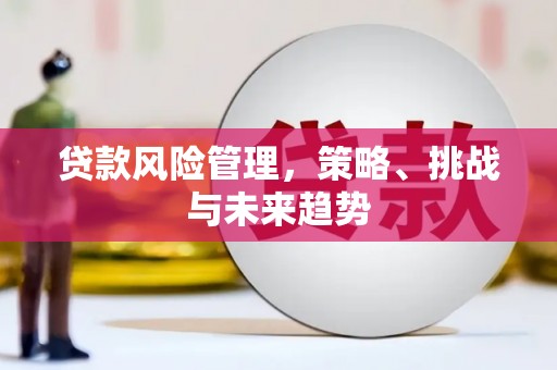 曲江贷款风险管理，策略、挑战与未来趋势