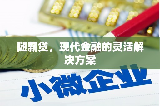 甘井子随薪贷，现代金融的灵活解决方案
