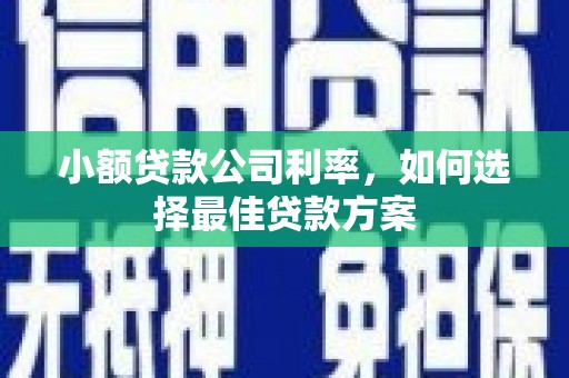 宣化小额贷款公司利率，如何选择最佳贷款方案