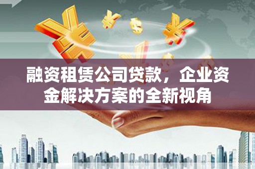 贞丰融资租赁公司贷款，企业资金解决方案的全新视角