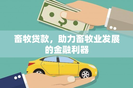 海东畜牧贷款，助力畜牧业发展的金融利器