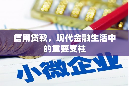 金湾信用贷款，现代金融生活中的重要支柱