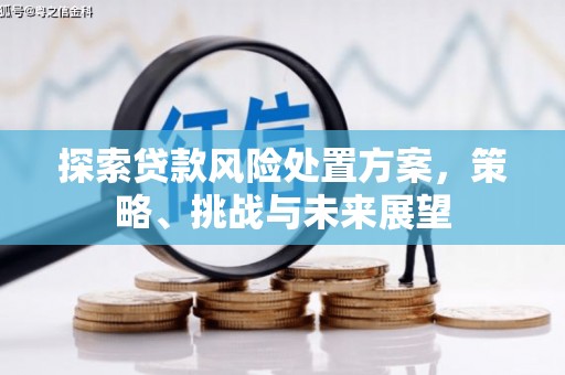 平南探索贷款风险处置方案，策略、挑战与未来展望