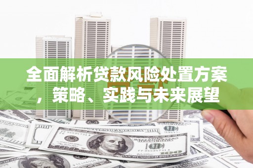 汇川全面解析贷款风险处置方案，策略、实践与未来展望
