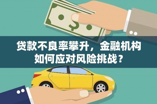 马边贷款不良率攀升，金融机构如何应对风险挑战？