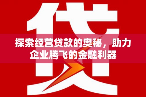 苍南探索经营贷款的奥秘，助力企业腾飞的金融利器