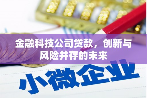 喜德金融科技公司贷款，创新与风险并存的未来