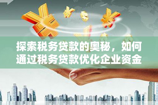 金阳探索税务贷款的奥秘，如何通过税务贷款优化企业资金流