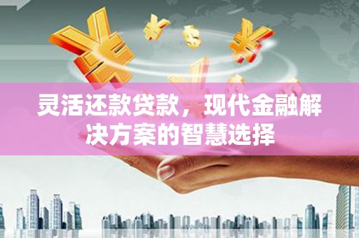 虾峙灵活还款贷款，现代金融解决方案的智慧选择
