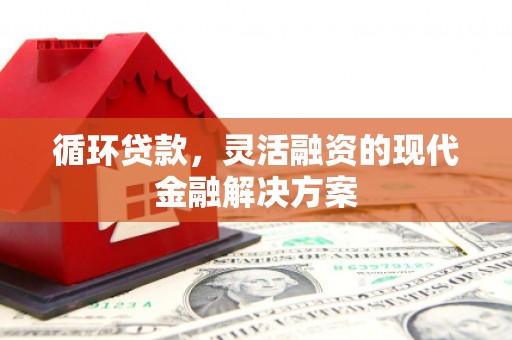 天元循环贷款，灵活融资的现代金融解决方案
