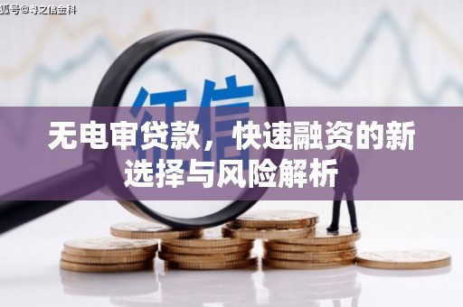 铜仁无电审贷款，快速融资的新选择与风险解析