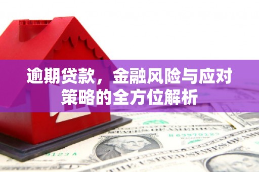 宜章逾期贷款，金融风险与应对策略的全方位解析