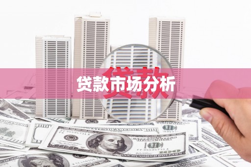 云龙贷款市场分析