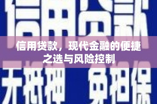 墨江信用贷款，现代金融的便捷之选与风险控制