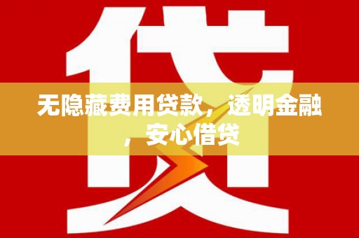 青阳无隐藏费用贷款，透明金融，安心借贷