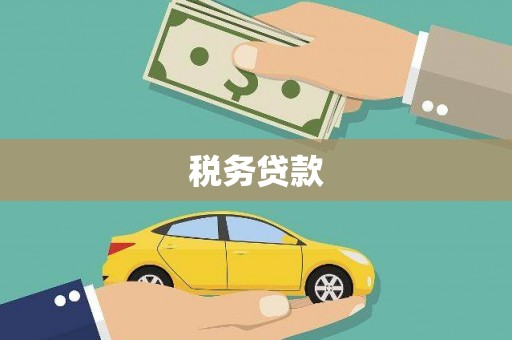 龙游税务贷款
