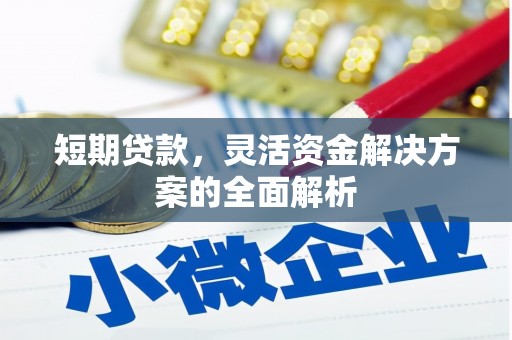 嘉黎短期贷款，灵活资金解决方案的全面解析