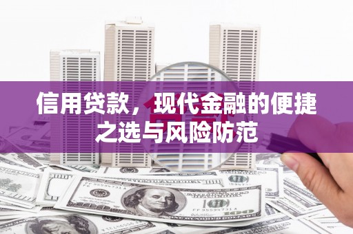 浦江信用贷款，现代金融的便捷之选与风险防范