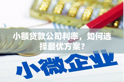 临夏小额贷款公司利率，如何选择最优方案？
