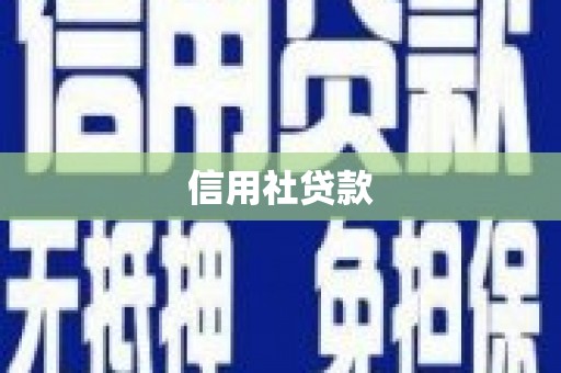 献县信用社贷款