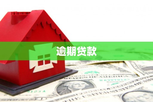 柳州逾期贷款