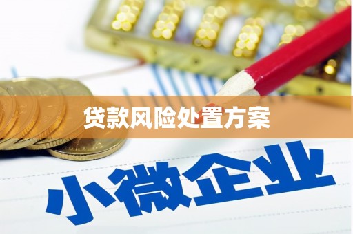 达拉特旗贷款风险处置方案