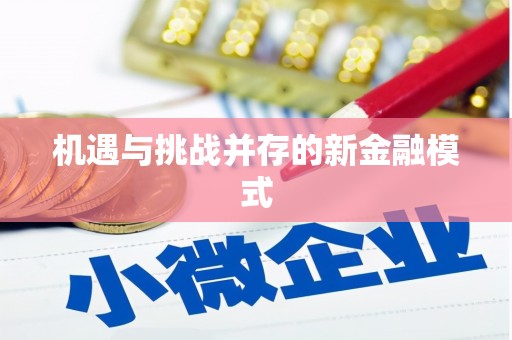 项城机遇与挑战并存的新金融模式