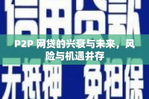 盐湖P2P 网贷的兴衰与未来，风险与机遇并存