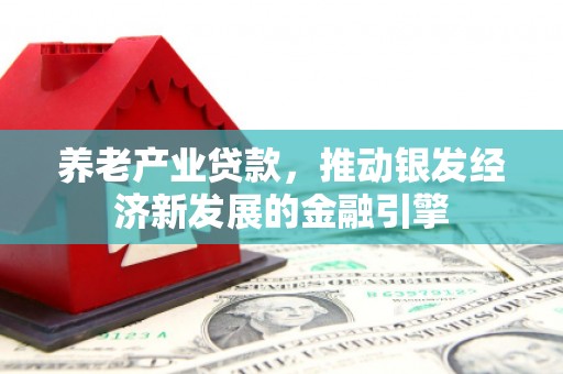 淮上养老产业贷款，推动银发经济新发展的金融引擎