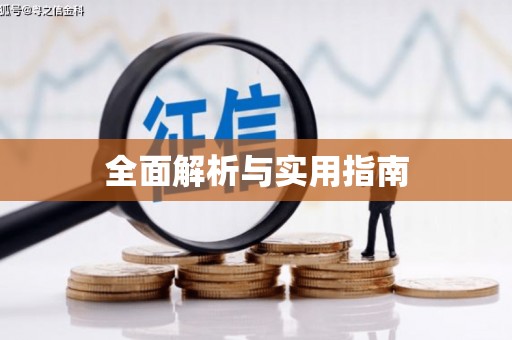 武平全面解析与实用指南