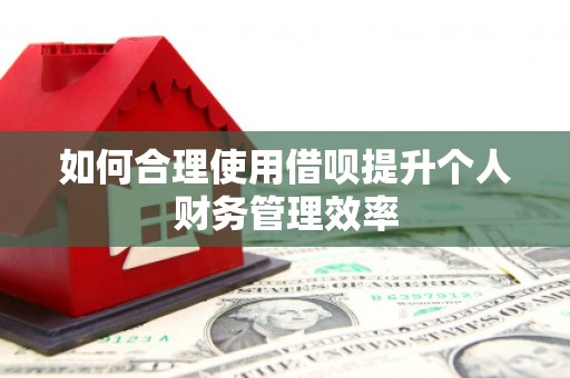 水磨沟如何合理使用借呗提升个人财务管理效率