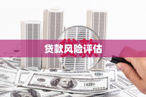 顺昌贷款风险评估