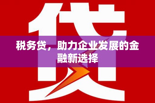 伽师税务贷，助力企业发展的金融新选择