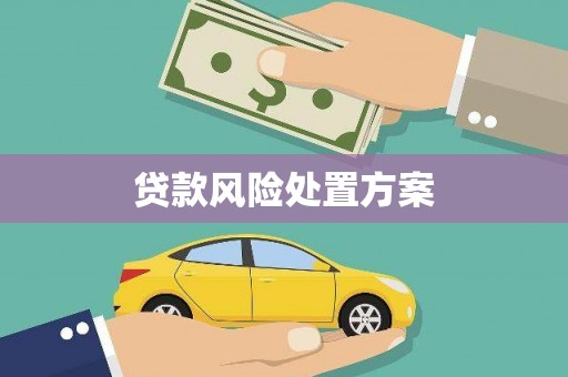 八宿贷款风险处置方案