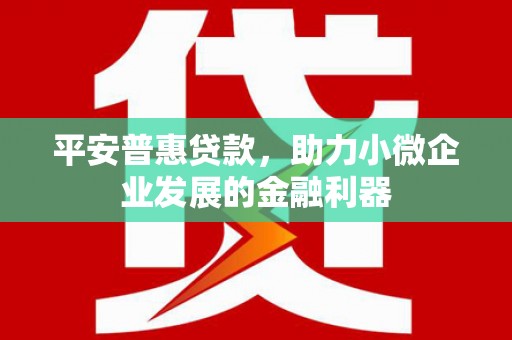 全州平安普惠贷款，助力小微企业发展的金融利器