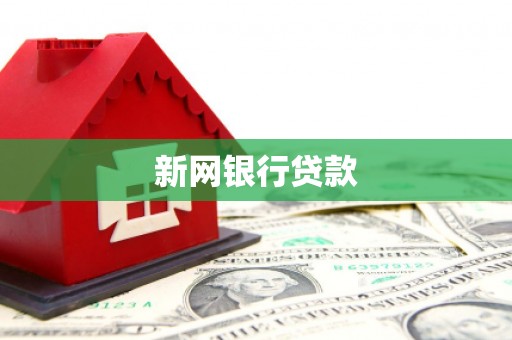 双清新网银行贷款