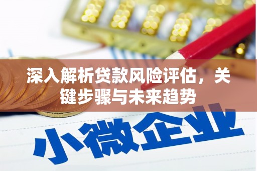 吉隆深入解析贷款风险评估，关键步骤与未来趋势